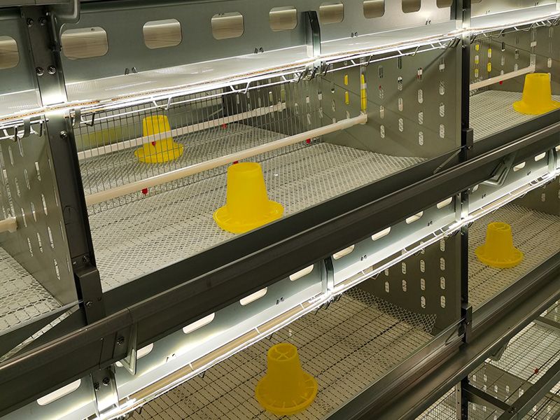 層疊式自動化育雛養(yǎng)殖設(shè)備