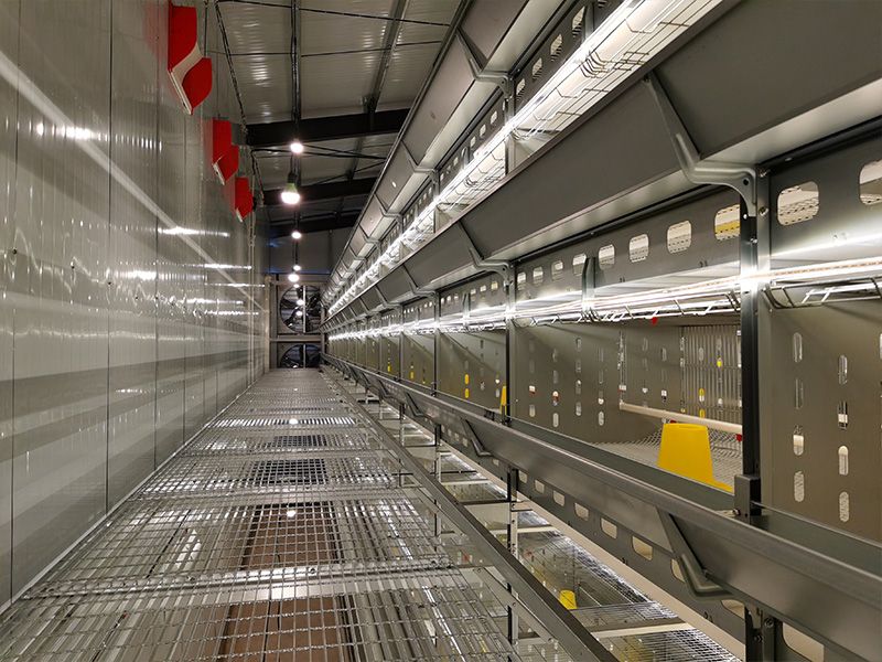 層疊式自動化育雛養(yǎng)殖設(shè)備